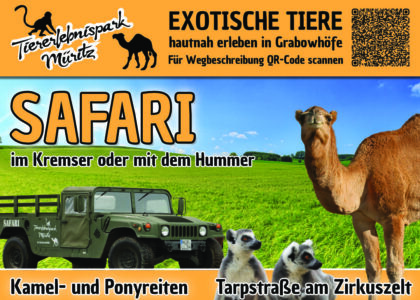 20823_Tiererlebnispark_113x96