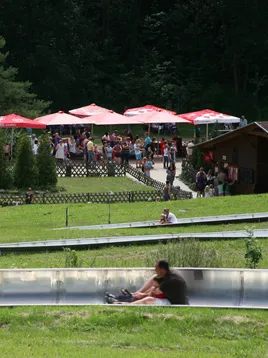 Sommerrodelbahn mit dem im Hintergrund (links) befindlichen Affenwald.